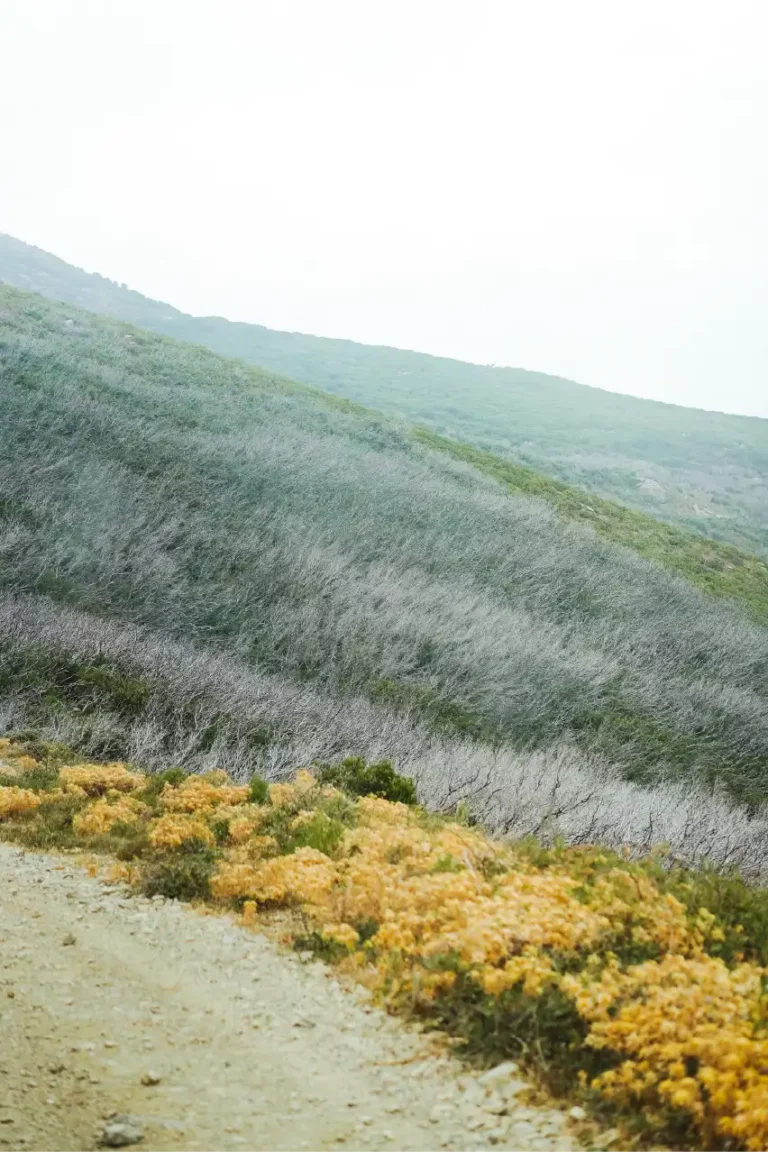 Sentier de randonnée à côté de Saint-Florent en Corse, au printemps
