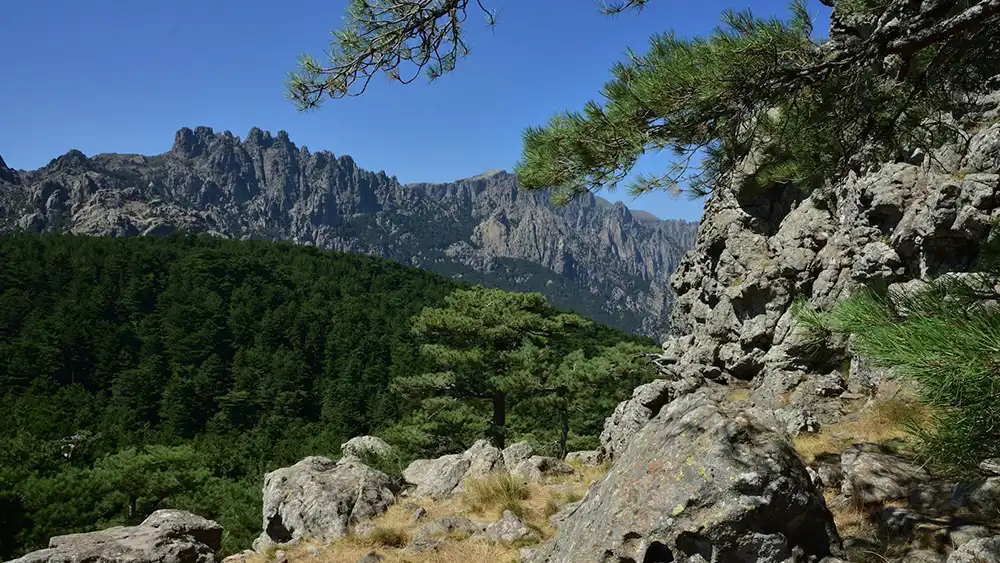 Vue panoramique sur les aiguilles de Bavella en Corse